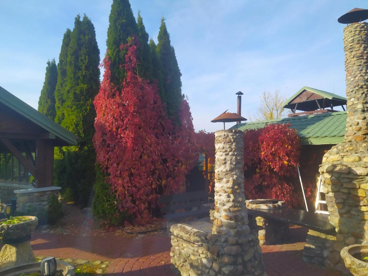 Dom Nad Stawem Przy Lesie Burkat Exterior foto