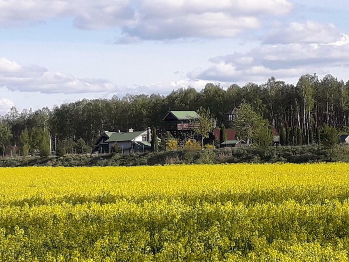 Dom Nad Stawem Przy Lesie Burkat Exterior foto